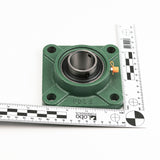 1-1/4" Flange Bearing